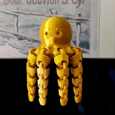 Funny Flexi Octopus