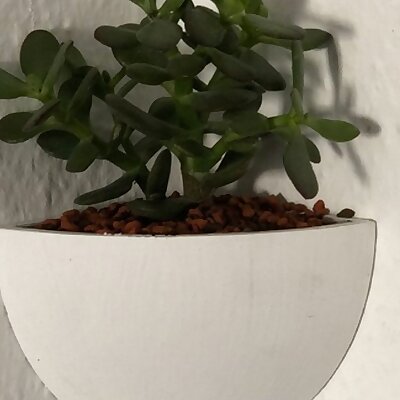 Planter  Pot for Wall Corner