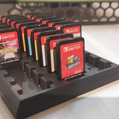 Nintendo Switch Game Organizer 2030