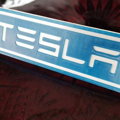 Tesla Key Tag