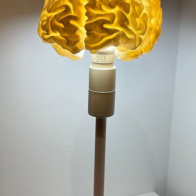 Human brain LED RGB desk lamp