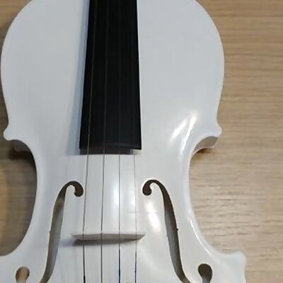 Acoustic Violin 44  Stridivarius Fiddle