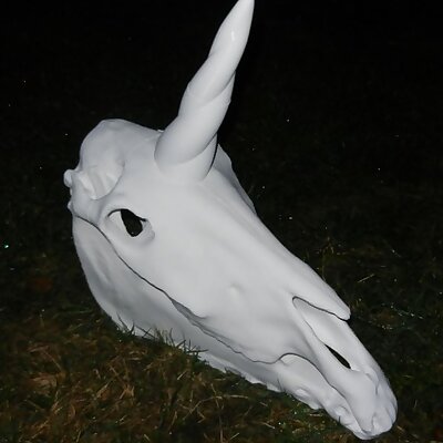 Unicorn Skull 600 mm