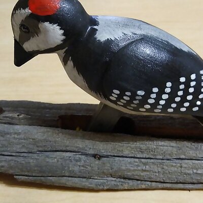 Woodpecker beak