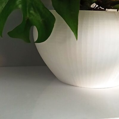 Rounded plant pot
