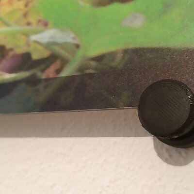 Knob  Wallmount for panel picture