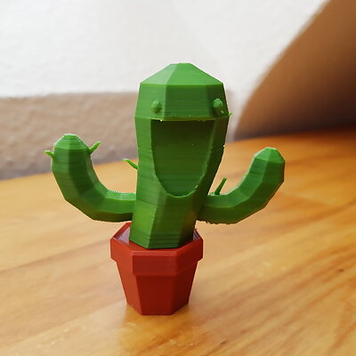 Smiling cactus