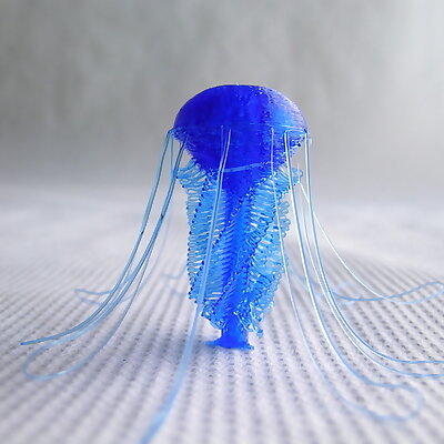 Jellyfish customizable  drooloops