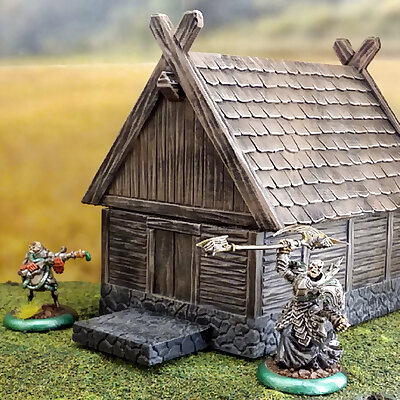 Smaller fantasy viking house