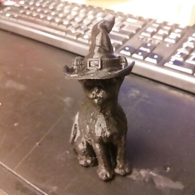 Witchs Cat