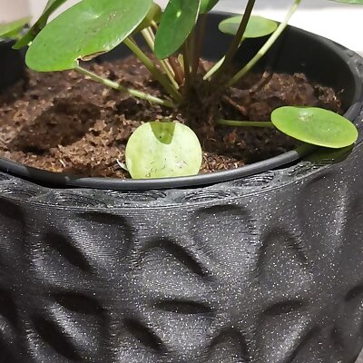 Organic plant pot