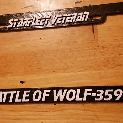 Starfleet Veteran Battle of Wolf359