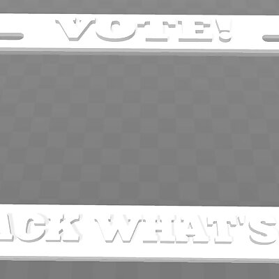 Vote! Take Back Whats Yours! License Plate Frame