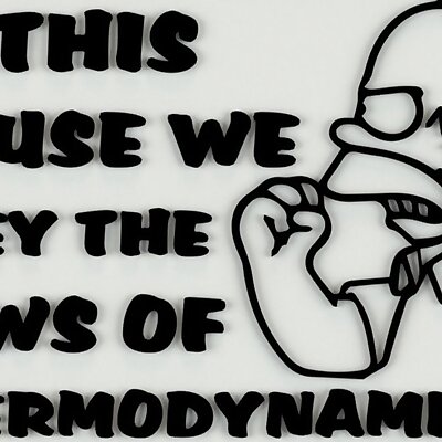 In this house we obey the laws of thermodynamics! sign