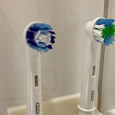 Brushorganizer for Oral B Brushheads