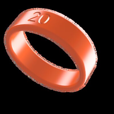 Measurement size ring 1523mm