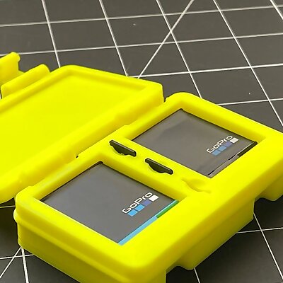 GoPro Hero 7 BatteryMicroSD Card Case