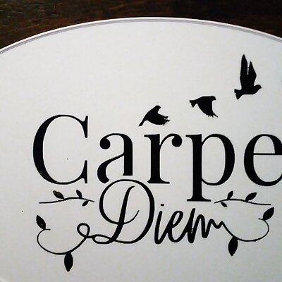 sign Carpe Diem  seize the day