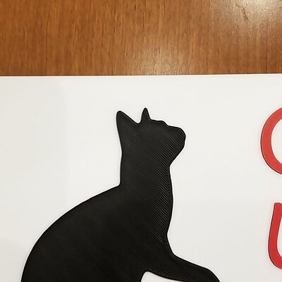Cat out sign1