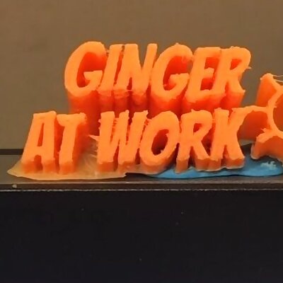 Ginger at work