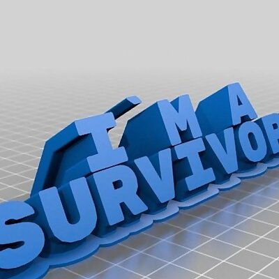 IM A SURVIVOR!