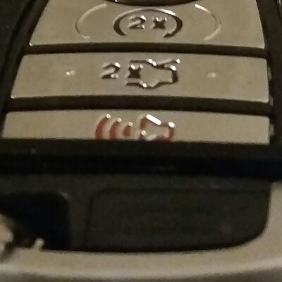 Ford Keyless Remote Protector