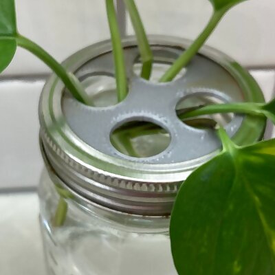 Mason jar plant propagator