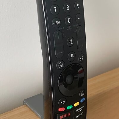 LG TV remote holder