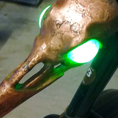 Raven skull bicycle light