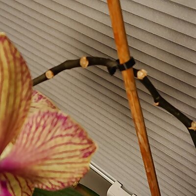 Halterung für Orchideen