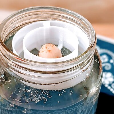 Avocado seed floater to JAR