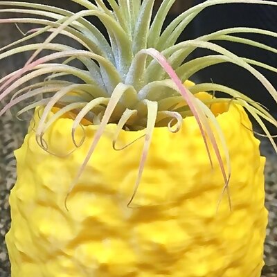 Pineapple Pot or PenPencilItem Holder