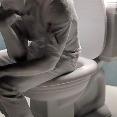 The SThinker  3D Scan