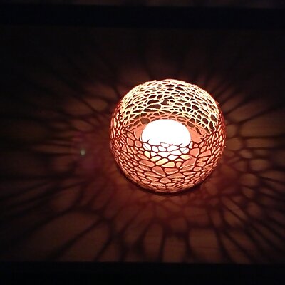 Coral Candle Fixture