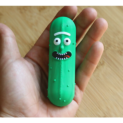 MultiColor Pickle Rick Rick and Morty
