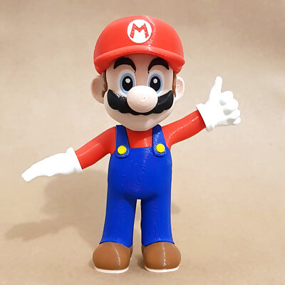 Mario from Mario games  Multicolor