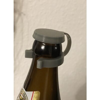 Beer Guard Beer lid