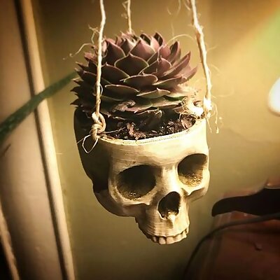 Skull Plant Hanger