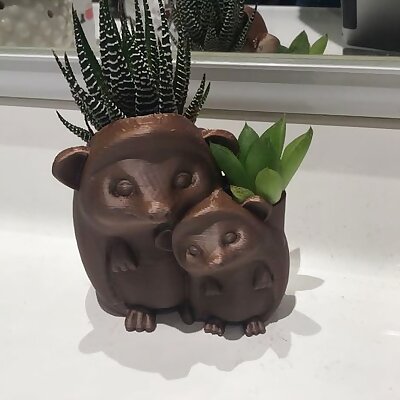 Hedgehogs planter