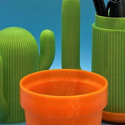 The Cactus Caddy