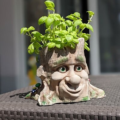 CartoonStyle Tree Face Planter