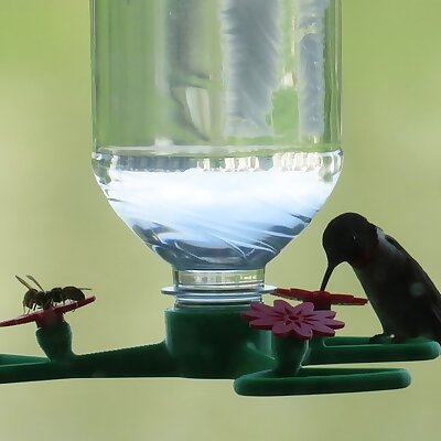 Hummingbird Feeder with Perch