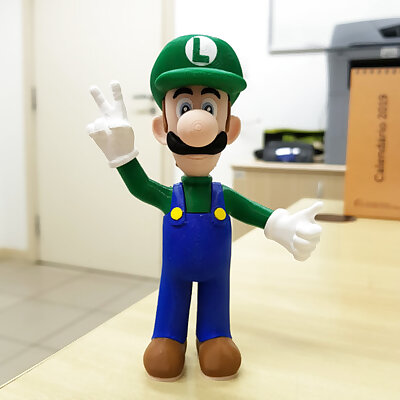 Luigi from Mario games  Multicolor