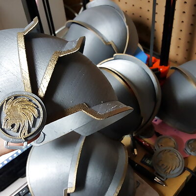 Medieval Shoulder Armor