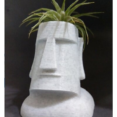 Moai Plants