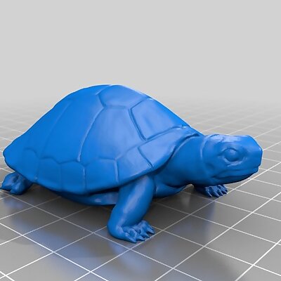 亀（Turtle）3Dデータ