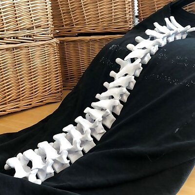 Wearable Spine