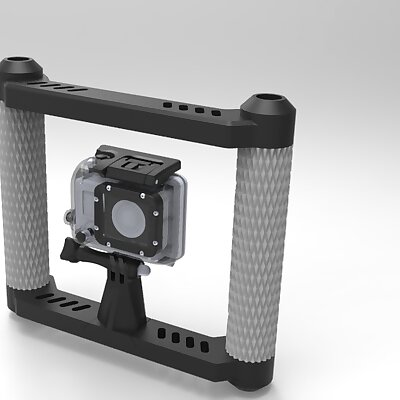 Go Pro fig rig steady