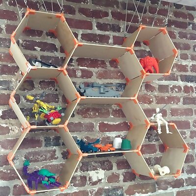 Customizable hexagonal shelves