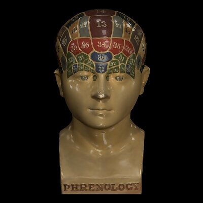 Phrenological Glazed Head